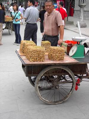 XI'AN - China, pero en 2005. (11)