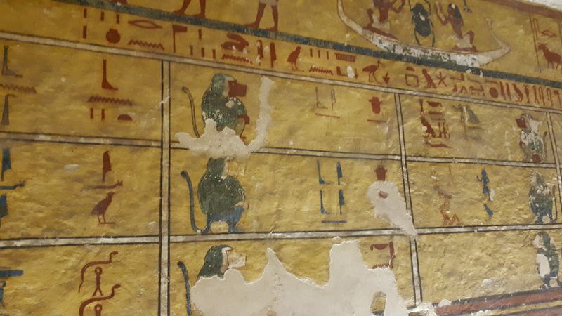 Faraónico Egipto - Blogs de Egipto - Día 2: El Valle de los Monos (7)