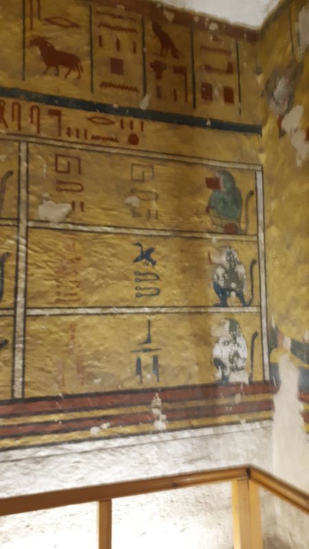 Faraónico Egipto - Blogs de Egipto - Día 2: El Valle de los Monos (9)