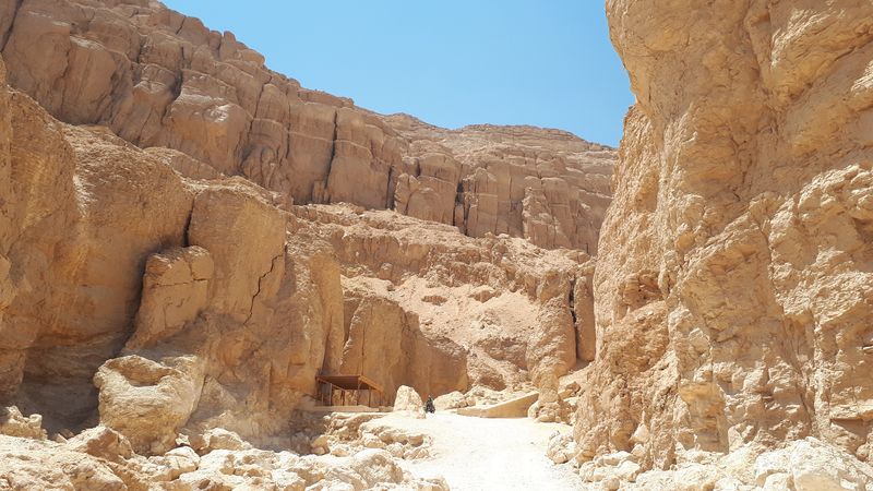 Faraónico Egipto - Blogs de Egipto - Día 2: El Valle de los Monos (1)
