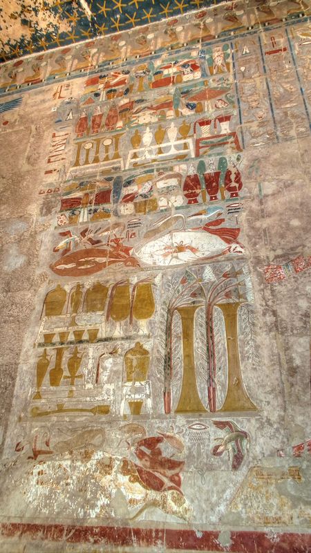 Faraónico Egipto - Blogs de Egipto - Dia 3: Templo funerario de Hatshepsut (12)