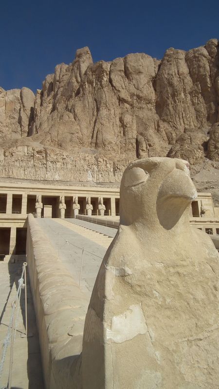 Faraónico Egipto - Blogs de Egipto - Dia 3: Templo funerario de Hatshepsut (22)