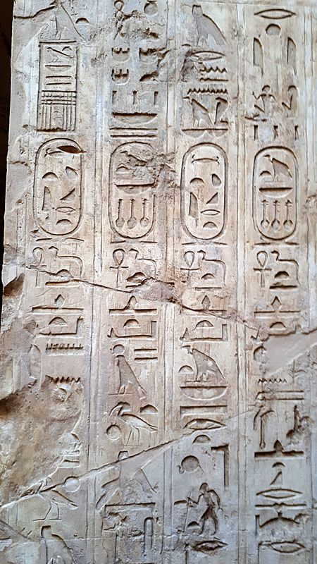 Faraónico Egipto - Blogs de Egipto - Dia 3: Tumbas de Assassif (5)