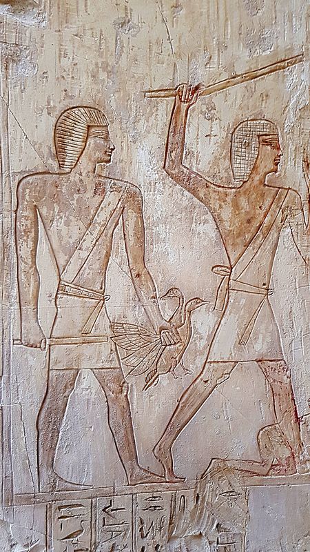 Faraónico Egipto - Blogs de Egipto - Dia 3: Tumbas de Assassif (7)