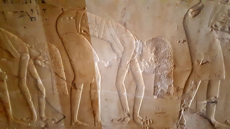 Faraónico Egipto - Blogs de Egipto - Dia 3: Tumbas de Assassif (18)
