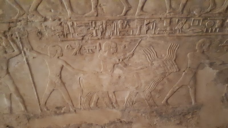 Faraónico Egipto - Blogs de Egipto - Dia 3: Tumbas de Assassif (25)