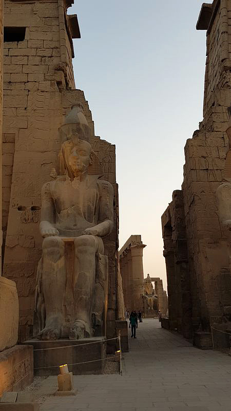 Dia 3: Templo de Luxor de noche - Faraónico Egipto (7)