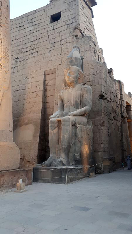 Dia 3: Templo de Luxor de noche - Faraónico Egipto (9)