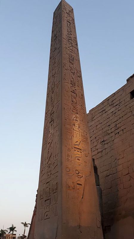 Dia 3: Templo de Luxor de noche - Faraónico Egipto (8)