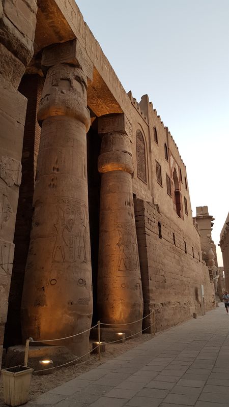 Dia 3: Templo de Luxor de noche - Faraónico Egipto (11)