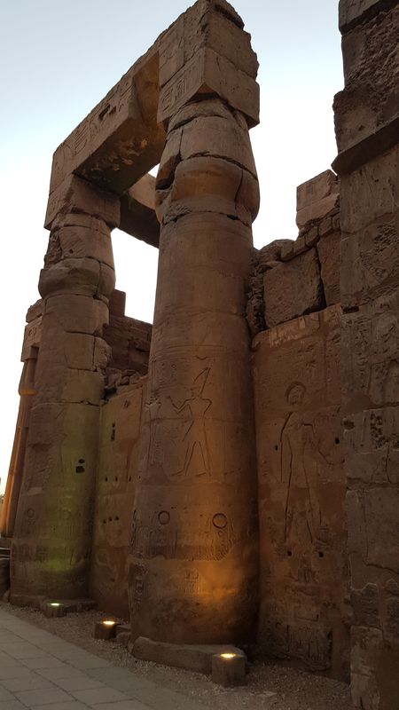 Dia 3: Templo de Luxor de noche - Faraónico Egipto (12)