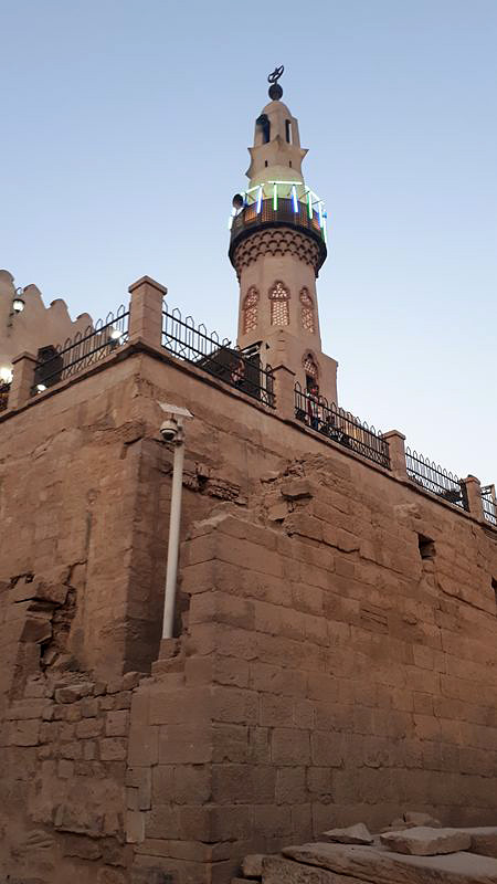 Dia 3: Templo de Luxor de noche - Faraónico Egipto (16)