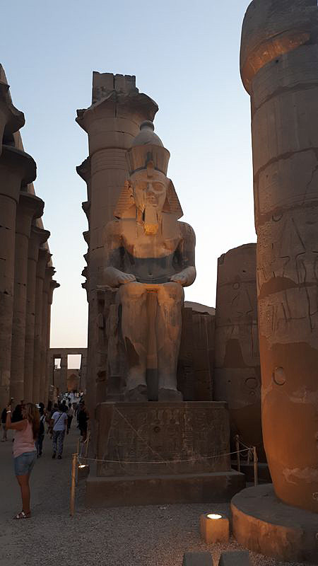 Dia 3: Templo de Luxor de noche - Faraónico Egipto (17)