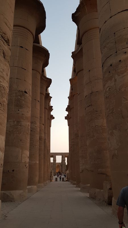 Dia 3: Templo de Luxor de noche - Faraónico Egipto (18)