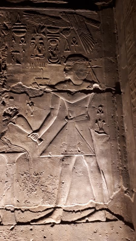 Dia 3: Templo de Luxor de noche - Faraónico Egipto (33)