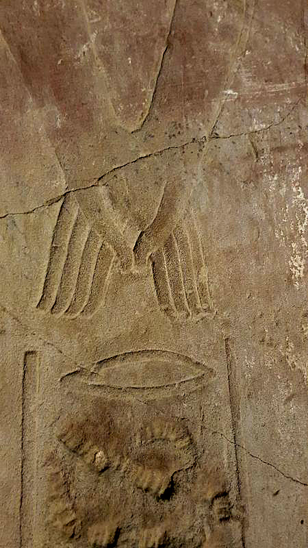 Dia 3: Templo de Luxor de noche - Faraónico Egipto (34)