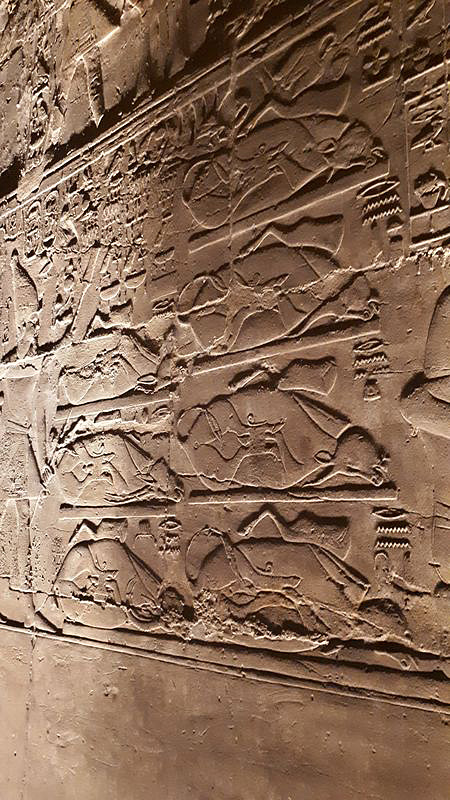 Dia 3: Templo de Luxor de noche - Faraónico Egipto (38)
