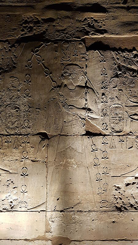 Dia 3: Templo de Luxor de noche - Faraónico Egipto (40)
