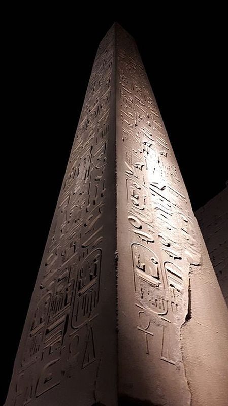 Dia 3: Templo de Luxor de noche - Faraónico Egipto (49)