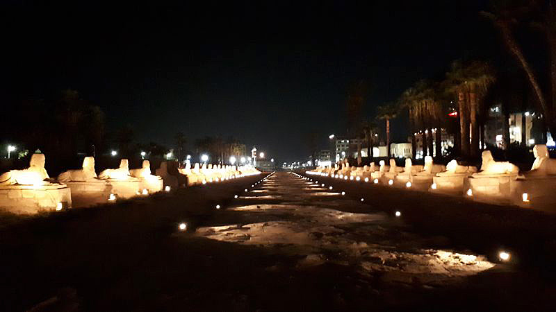 Dia 3: Templo de Luxor de noche - Faraónico Egipto (53)