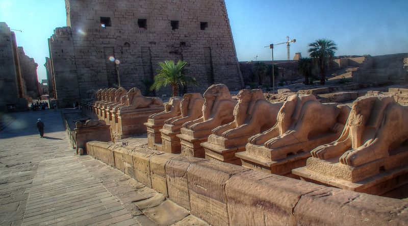 Día 4: Templo de Karnak - Faraónico Egipto (6)
