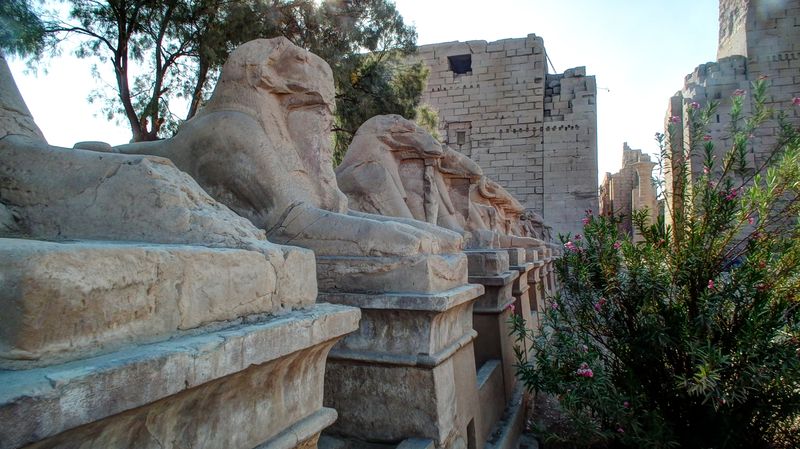 Día 4: Templo de Karnak - Faraónico Egipto (8)