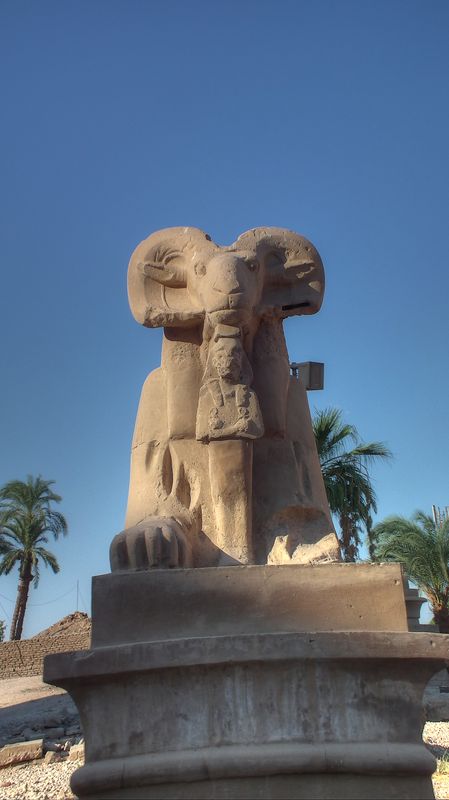 Día 4: Templo de Karnak - Faraónico Egipto (9)