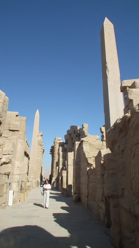 Día 4: Templo de Karnak - Faraónico Egipto (32)