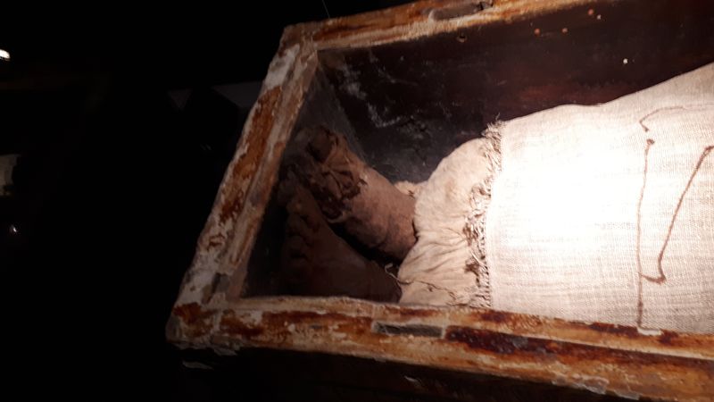 Día 4: Museo de la momificación - Faraónico Egipto (9)