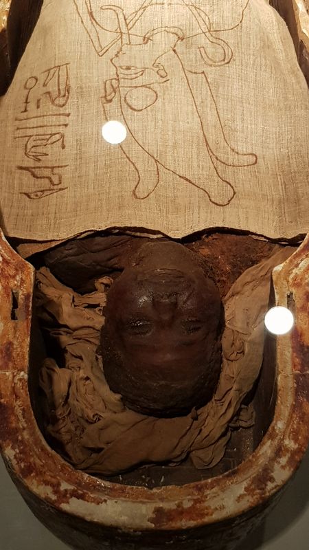 Día 4: Museo de la momificación - Faraónico Egipto (11)