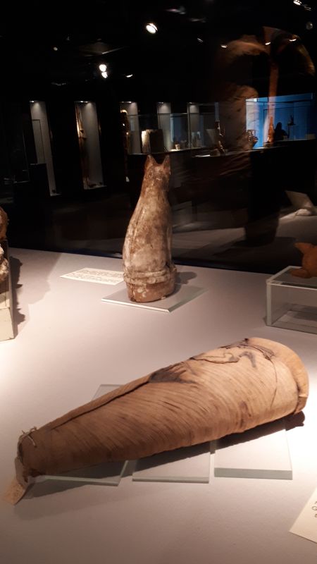 Día 4: Museo de la momificación - Faraónico Egipto (12)