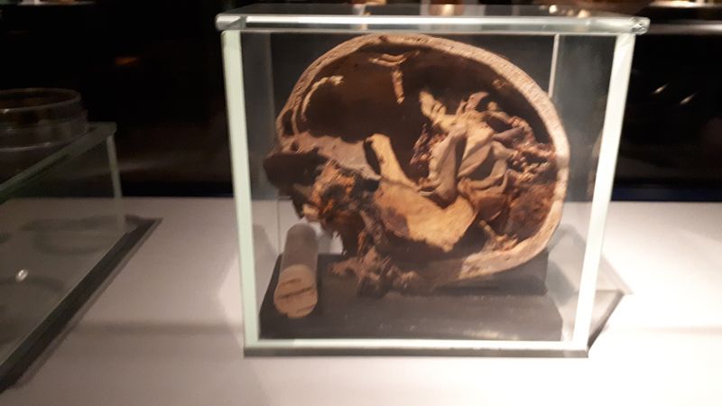 Día 4: Museo de la momificación - Faraónico Egipto (16)