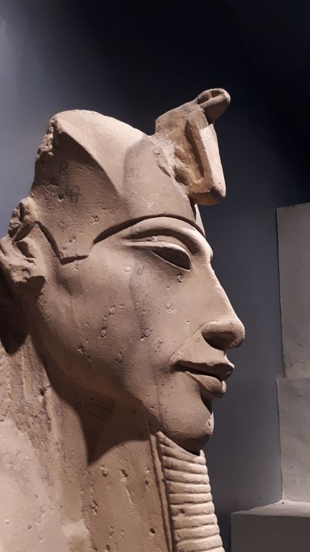 Día 4: Museo de Luxor y almuerzo. - Faraónico Egipto (31)