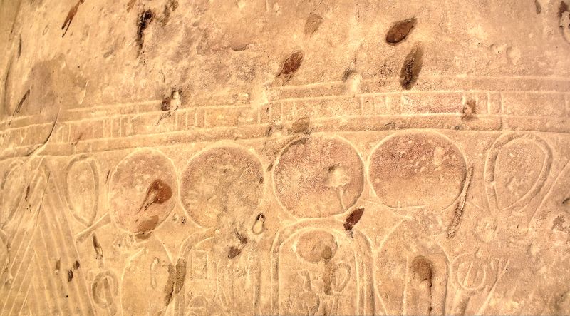 Día 5: Templo de Seti I en Qrna. - Faraónico Egipto (12)