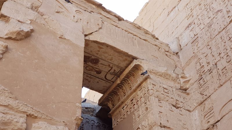Dia 6: Medinet Habu - Faraónico Egipto (11)