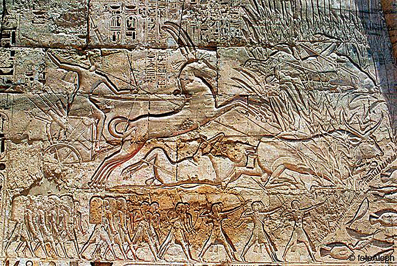 Dia 6: Medinet Habu - Faraónico Egipto (6)