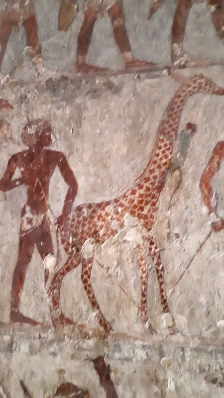 Dia 6: El Valle de los Nobles y fin del día - Faraónico Egipto (88)