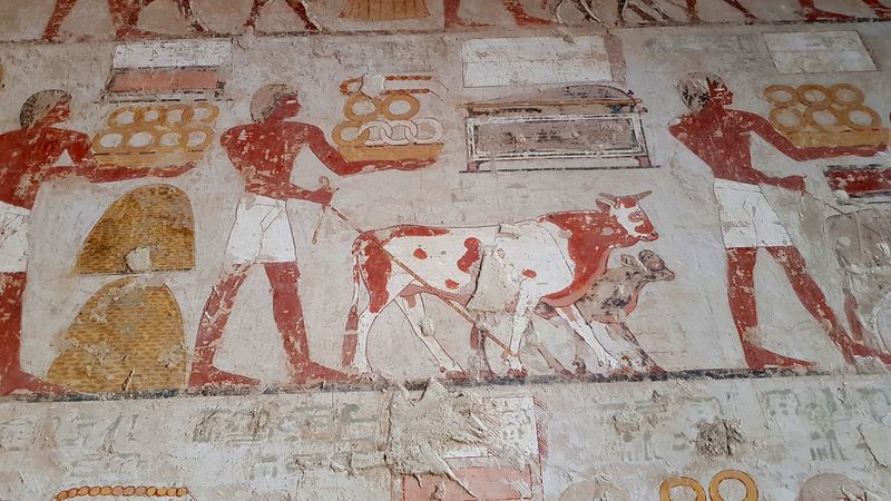 Dia 6: El Valle de los Nobles y fin del día - Faraónico Egipto (87)