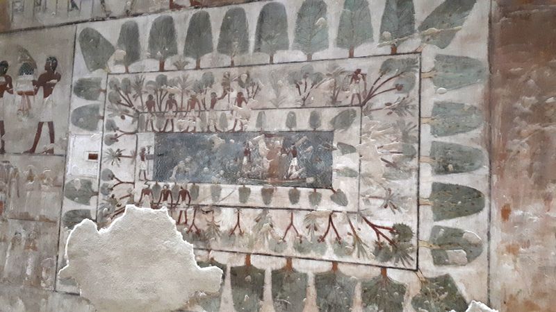 Dia 6: El Valle de los Nobles y fin del día - Faraónico Egipto (91)