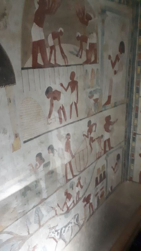 Dia 6: El Valle de los Nobles y fin del día - Faraónico Egipto (9)
