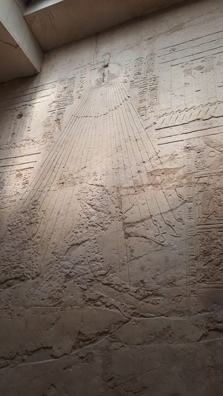 Dia 6: El Valle de los Nobles y fin del día - Faraónico Egipto (17)