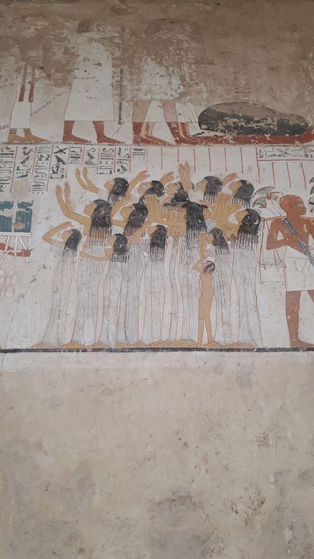 Dia 6: El Valle de los Nobles y fin del día - Faraónico Egipto (21)