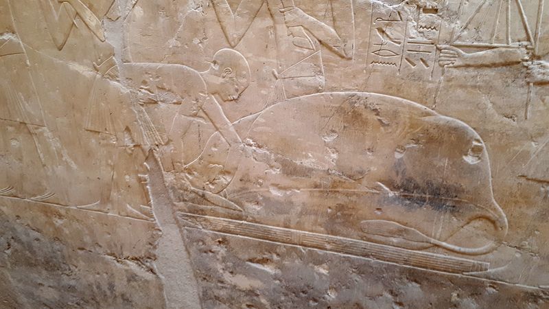 Dia 6: El Valle de los Nobles y fin del día - Faraónico Egipto (26)