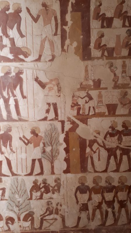 Dia 6: El Valle de los Nobles y fin del día - Faraónico Egipto (31)