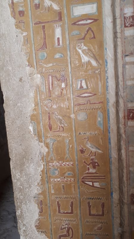 Dia 6: El Valle de los Nobles y fin del día - Faraónico Egipto (38)