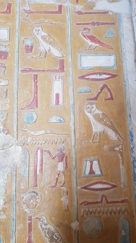 Dia 6: El Valle de los Nobles y fin del día - Faraónico Egipto (39)