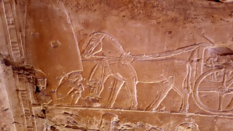 Dia 6: El Valle de los Nobles y fin del día - Faraónico Egipto (42)