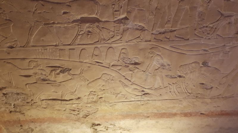 Dia 6: El Valle de los Nobles y fin del día - Faraónico Egipto (43)
