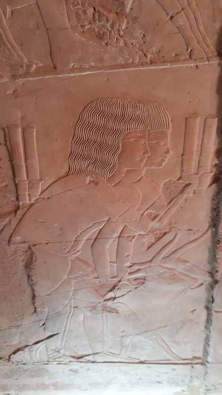 Dia 6: El Valle de los Nobles y fin del día - Faraónico Egipto (44)