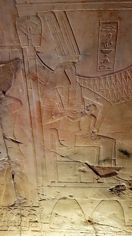 Dia 6: El Valle de los Nobles y fin del día - Faraónico Egipto (47)